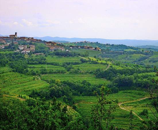 Weinberge des Collio mit Blick Richtung Slowenien <br>© Wikimedia Commons (ElmAgos [CC-BY-SA-3.0])