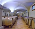 Hier im Weinkeller reift der Wein Ihrer Residenz <br>© Kulturtouristik (Hotel)