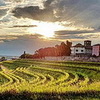 Abendstimmung über den Weinbergen Ihrer Residenz <br>© Kulturtouristik (Hotel)