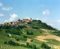 La Morra die Terrasse der Langhe <br>© Kulturtouristik (Weingut)