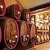Weinkeller des Weingutes bei La Morra <br>© Kulturtouristik (Weingut)