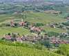 Blick von La Morra auf die Weinberge <br>© Kulturtouristik (Restaurant)