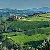 Weinberge im Barolo-Gebiet ideales Vespa-Gebiet <br>© Kulturtouristik (Hotel)