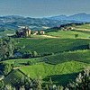 Weinberge im Barolo-Gebiet ideales Vespa-Gebiet <br>© Kulturtouristik (Hotel)