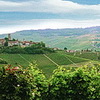 Weinberge im Langhe-Gebiet ideales Vespa-Gebiet <br>© Kulturtouristik (Hotel)