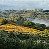 Landschaft mit Weinbergen bei Ihrer Residenz <br>© Kulturtouristik (Hotel)