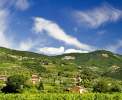 Weinberge im Valpolicella-Gebiet <br>© Wikimedia Commons (NuKeglus  [CC-BY-SA-3.0])