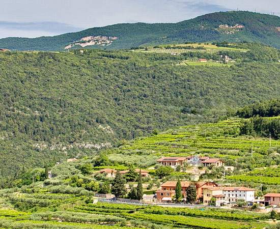 VESPA TOUR: Ruhe in herrlicher Landschaft auf einem Weingut im Valpolicella